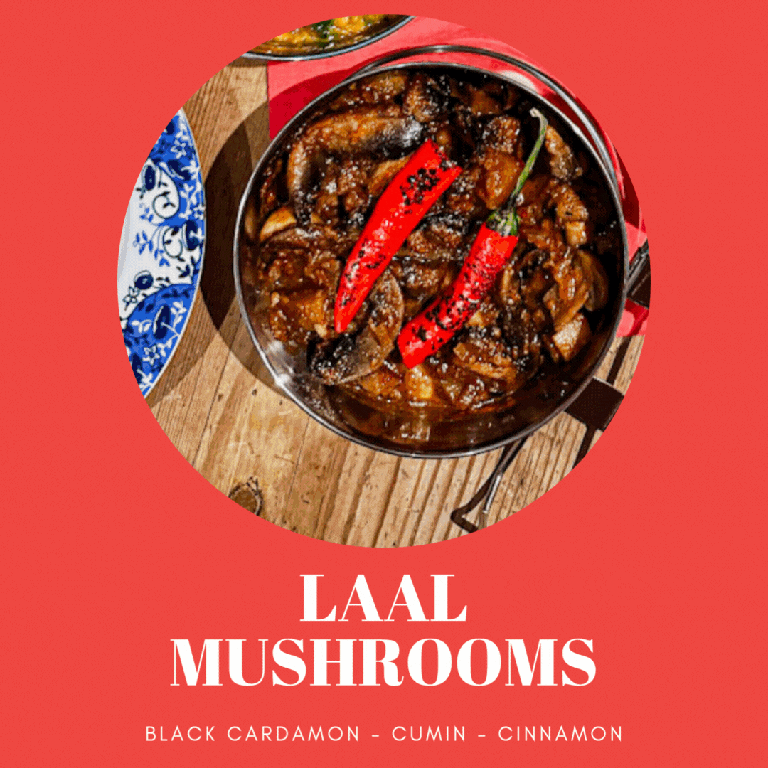 RAJASTHAN 22nd & 23rd Jan