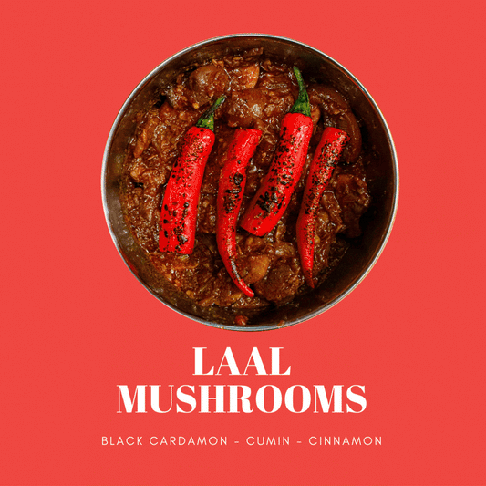 RAJASTHAN  22nd & 23rd Jan